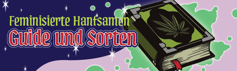 Feminisierte Hanfsamen – Die Königinnen unter den Cannabissamen Feminisierte Hanfsamen – Die Königinnen unter den Cannabissamen
